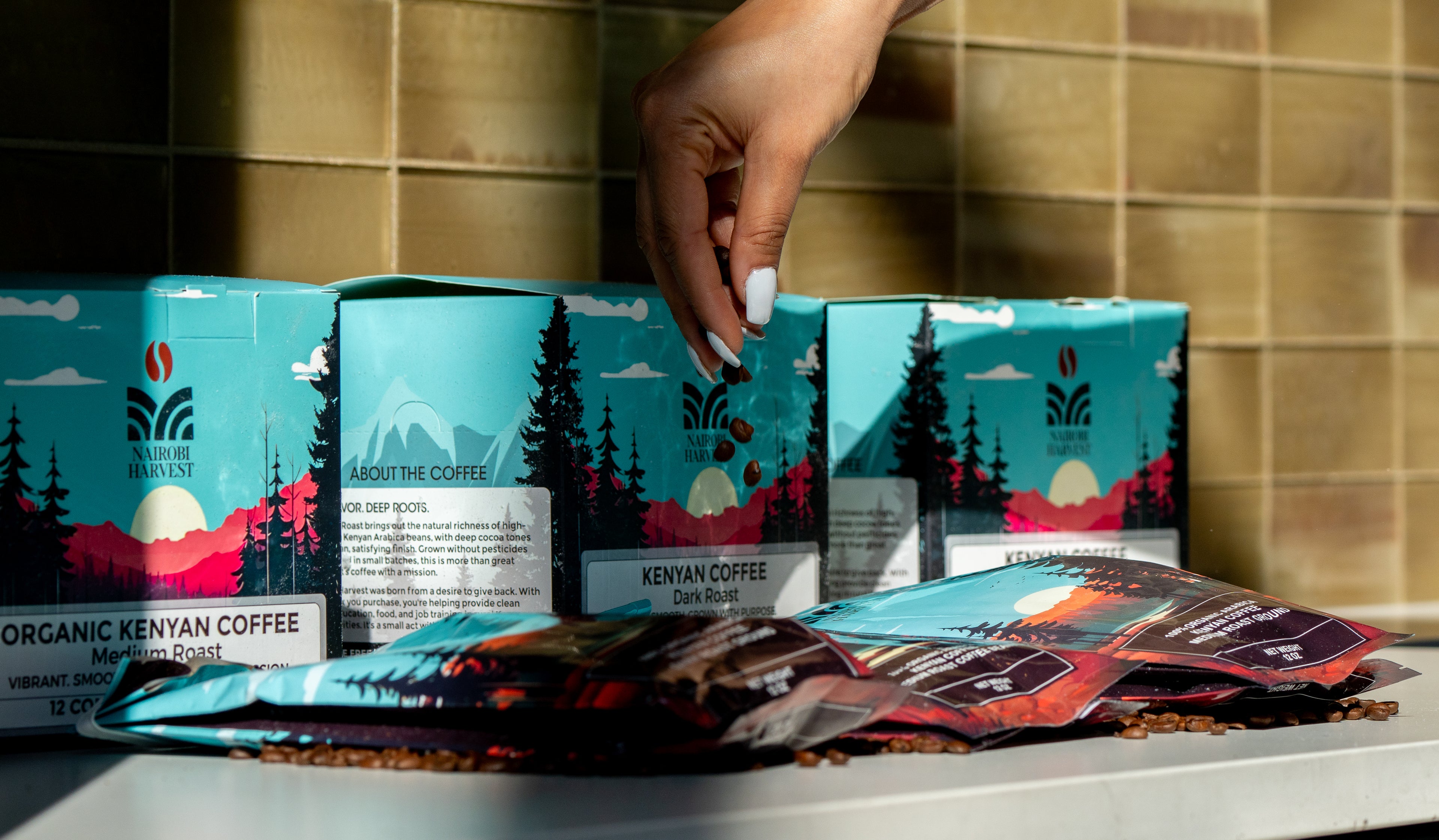 The Discovery Bundle